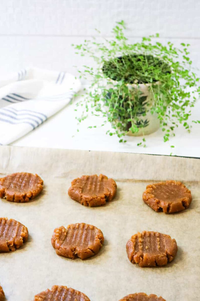 classic peanut butter cookie